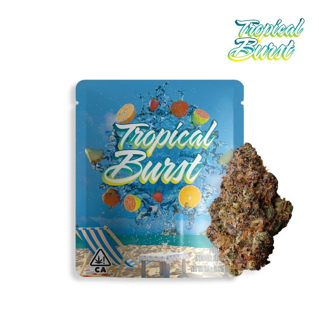 SEED JUNKY — Tropical Burst