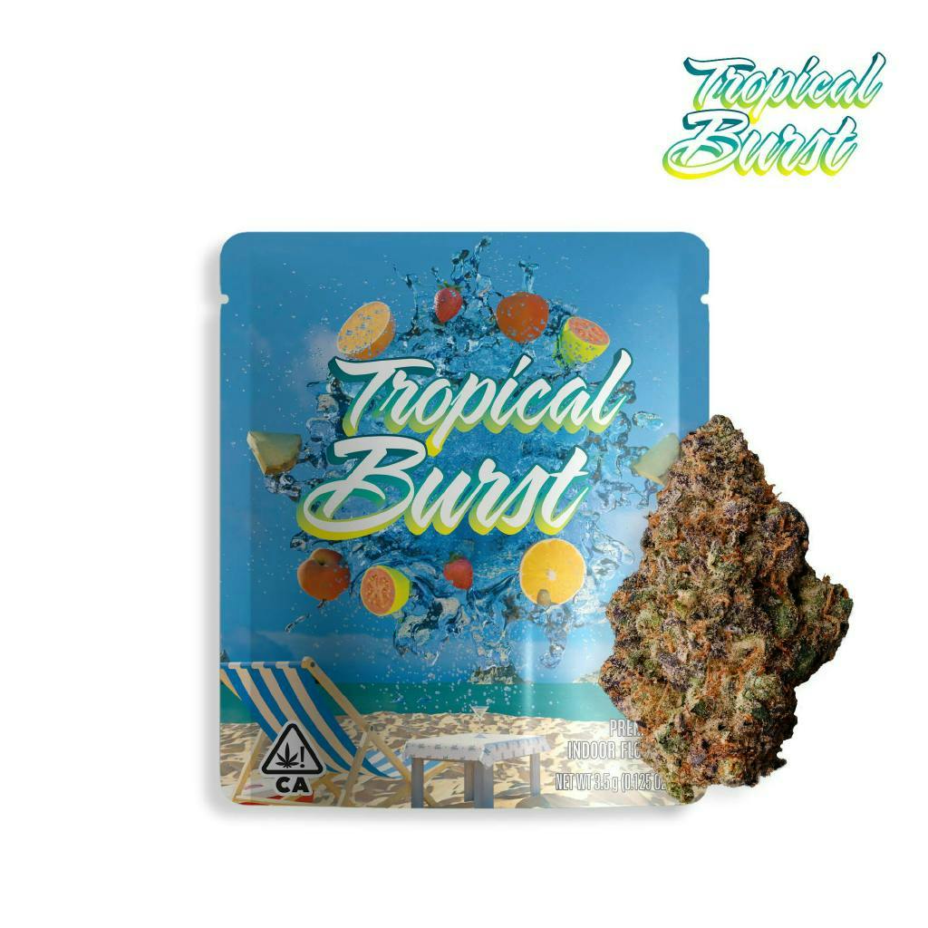 SEED JUNKY — Tropical Burst