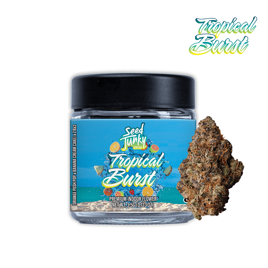 Seed Junky | Tropical Burst | Buds | 3.5g