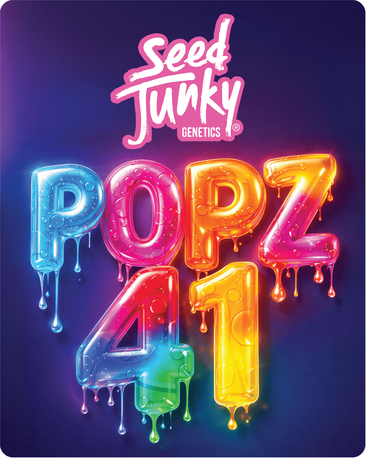 Seed Junky | Popz 41 | Big Buds