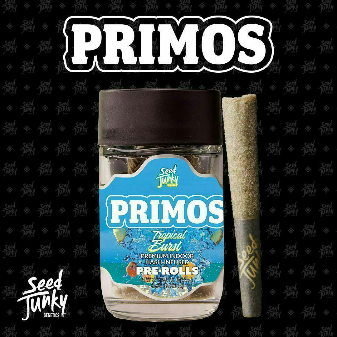Tropical Burst | Infused Joints | 0.6g each | 5pk by Seed Junky