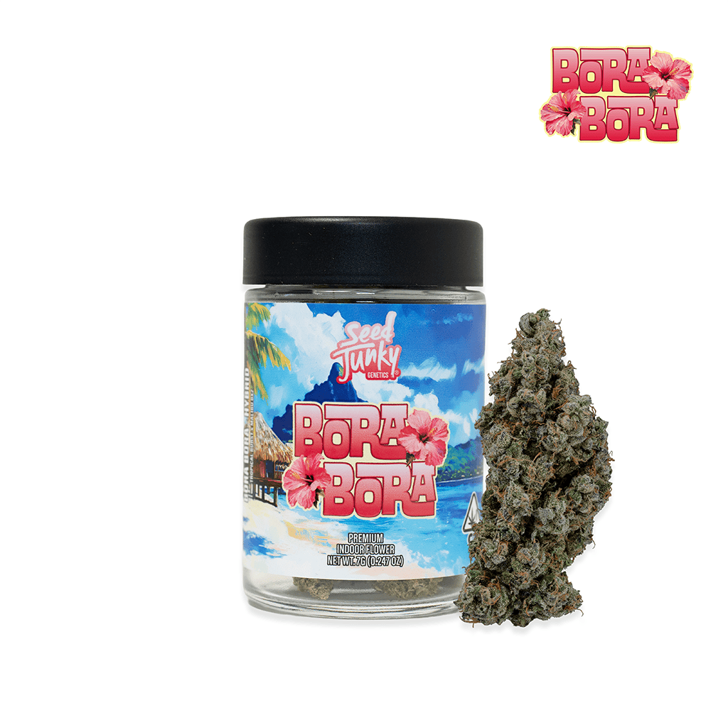 SEED JUNKY: Bora Bora - Big Buds - 7g