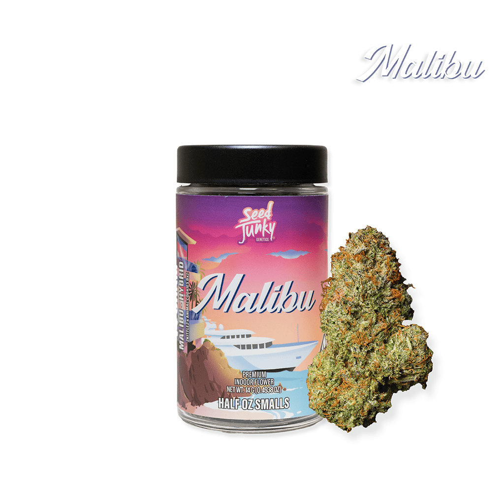 SEED JUNKY: Malibu OG
