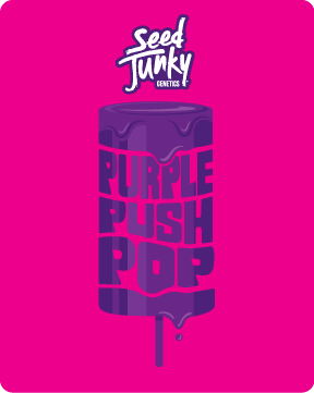 Purple Push Pop | Buds by Seed Junky