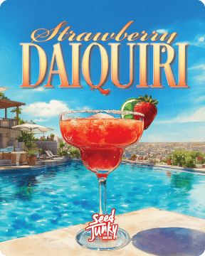 SEED JUNKY: Strawberry Daiquiri