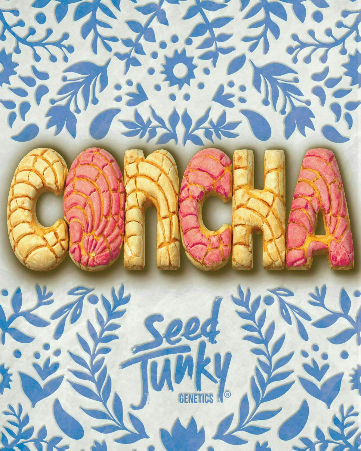 Concha | Big Buds by Seed Junky