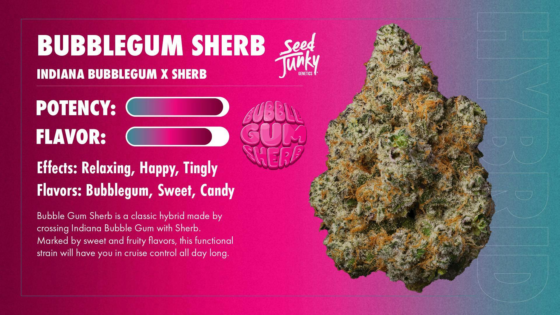 Seed Junky | Bubblegum Sherb | Big Buds
