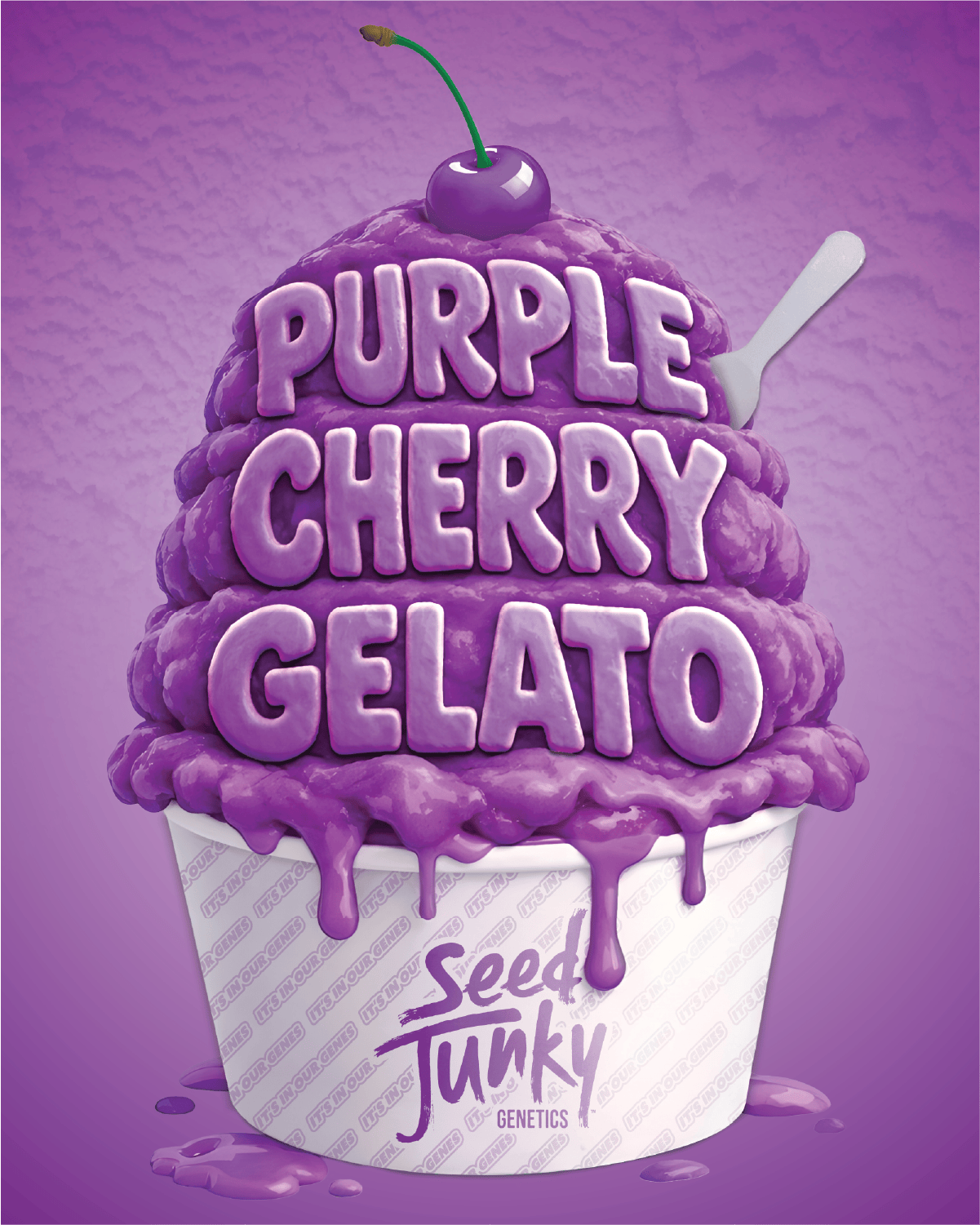 Purple Cherry Gelato | Big Buds