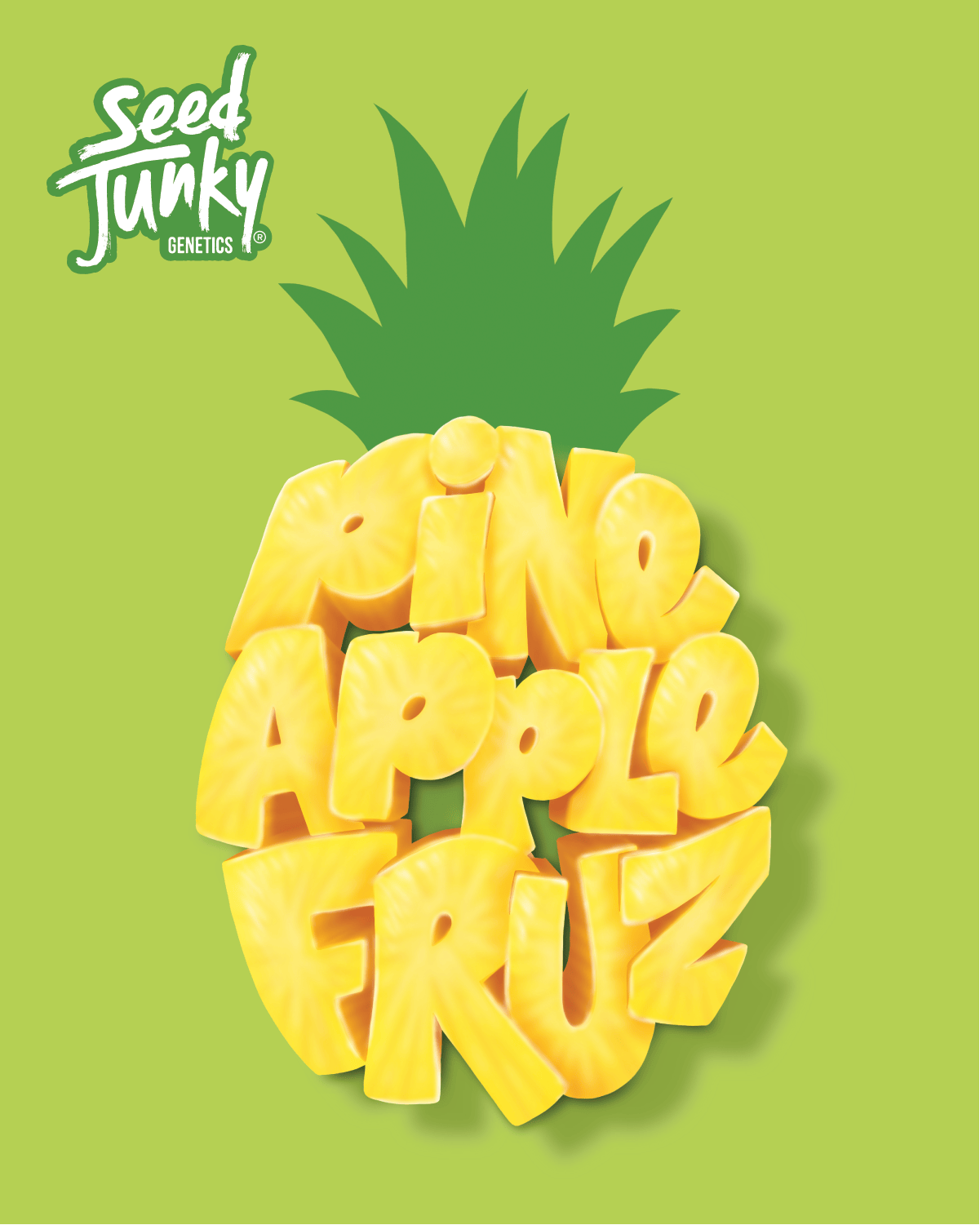 Pineapple Fruz | Big Buds