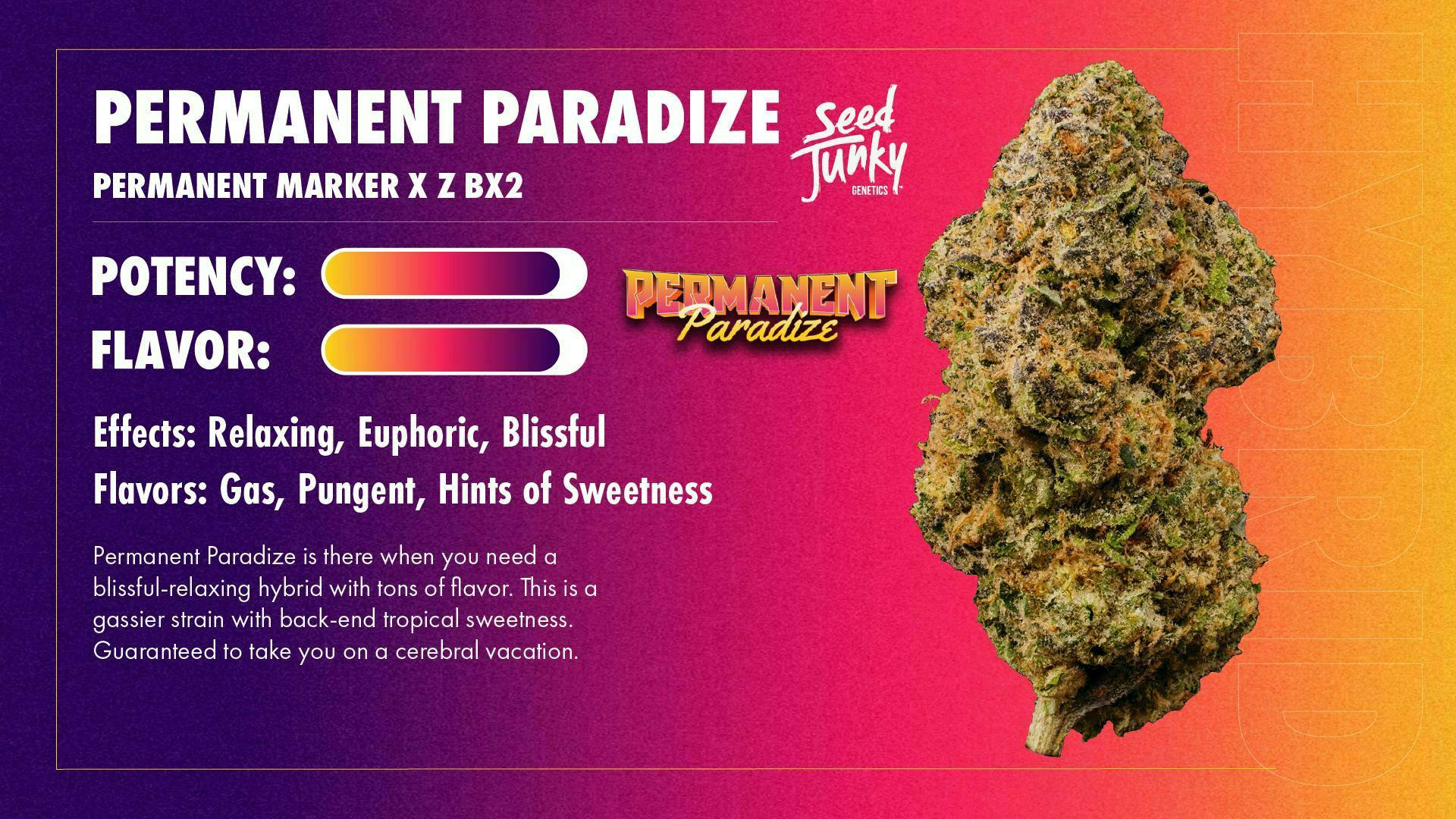 Permanent Paradize | Big Buds