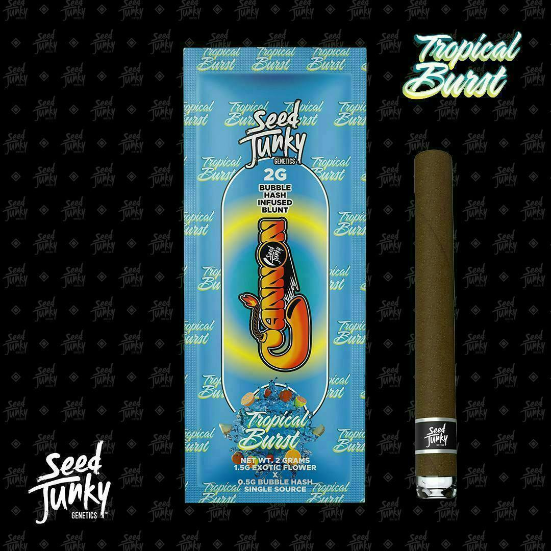 Tropical Burst | Infused Blunt | 2g by Seed Junky