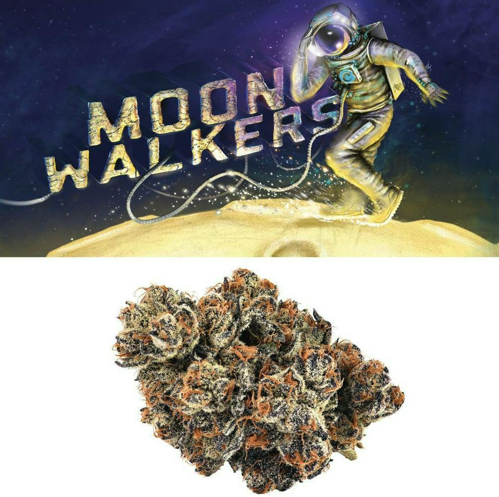 Moonwalkers | Buds | 14g