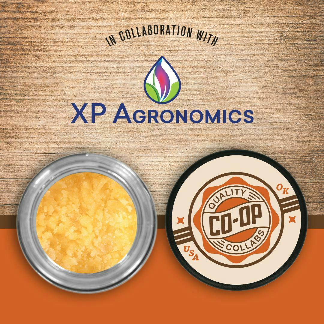 CO-OP x XP Agronomics | Purple Runtz | Badder | 10g - Co-op Collabs