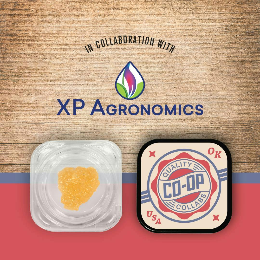 CO-OP x XP Agronomics | Gelato King | Sugar | 2g