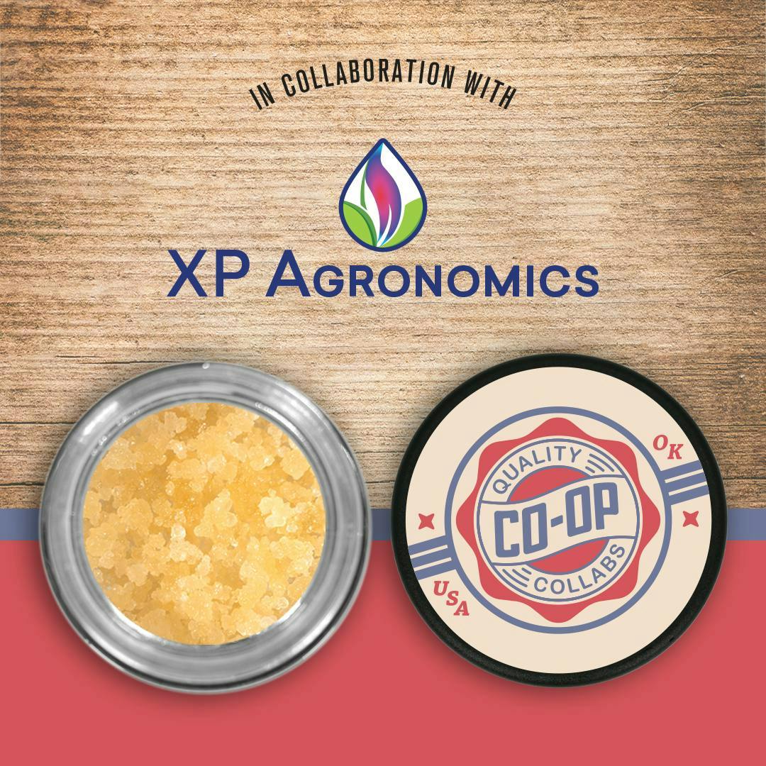 CO-OP x XP Agronomics | Lemon Meringue | Sugar | 10g