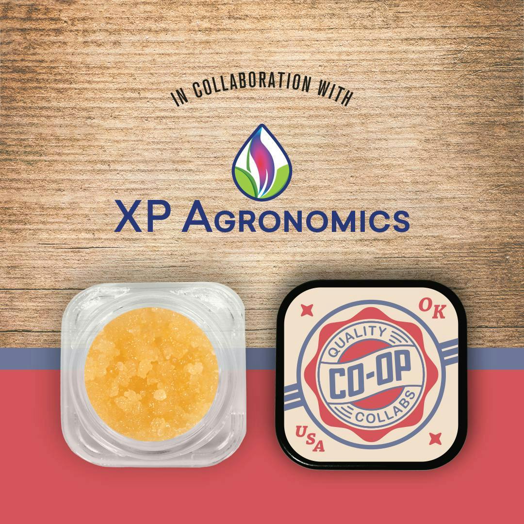 CO-OP x XP Agronomics | Gelato King | Sugar | 4g