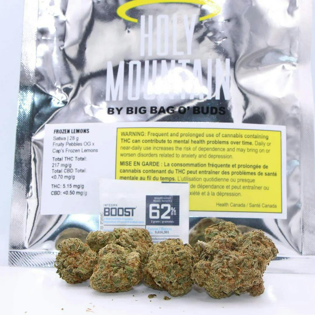 Hi Canna — Frozen Lemons