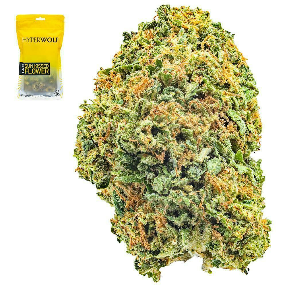 Hyperwolf: Gelato 41