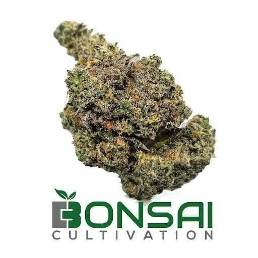 Bonsai Cultivation | Frozen Grapes | Flower