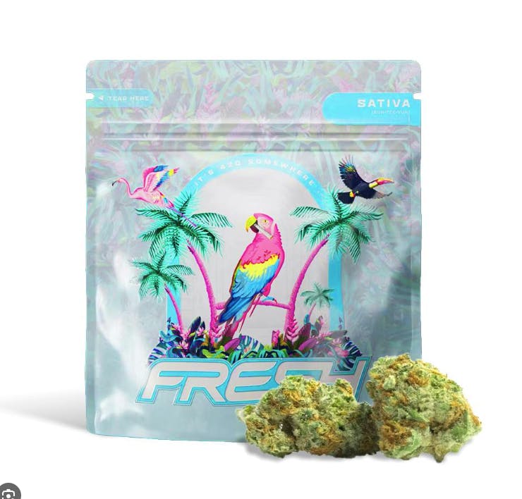 Fresh | Key Lime Kiss | Big Buds | 3.5g by Fresh