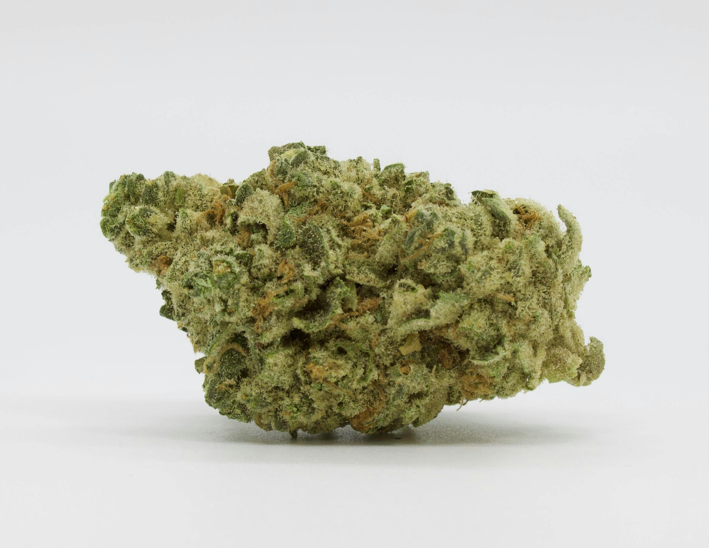 Sticky — Oreo Blizzy