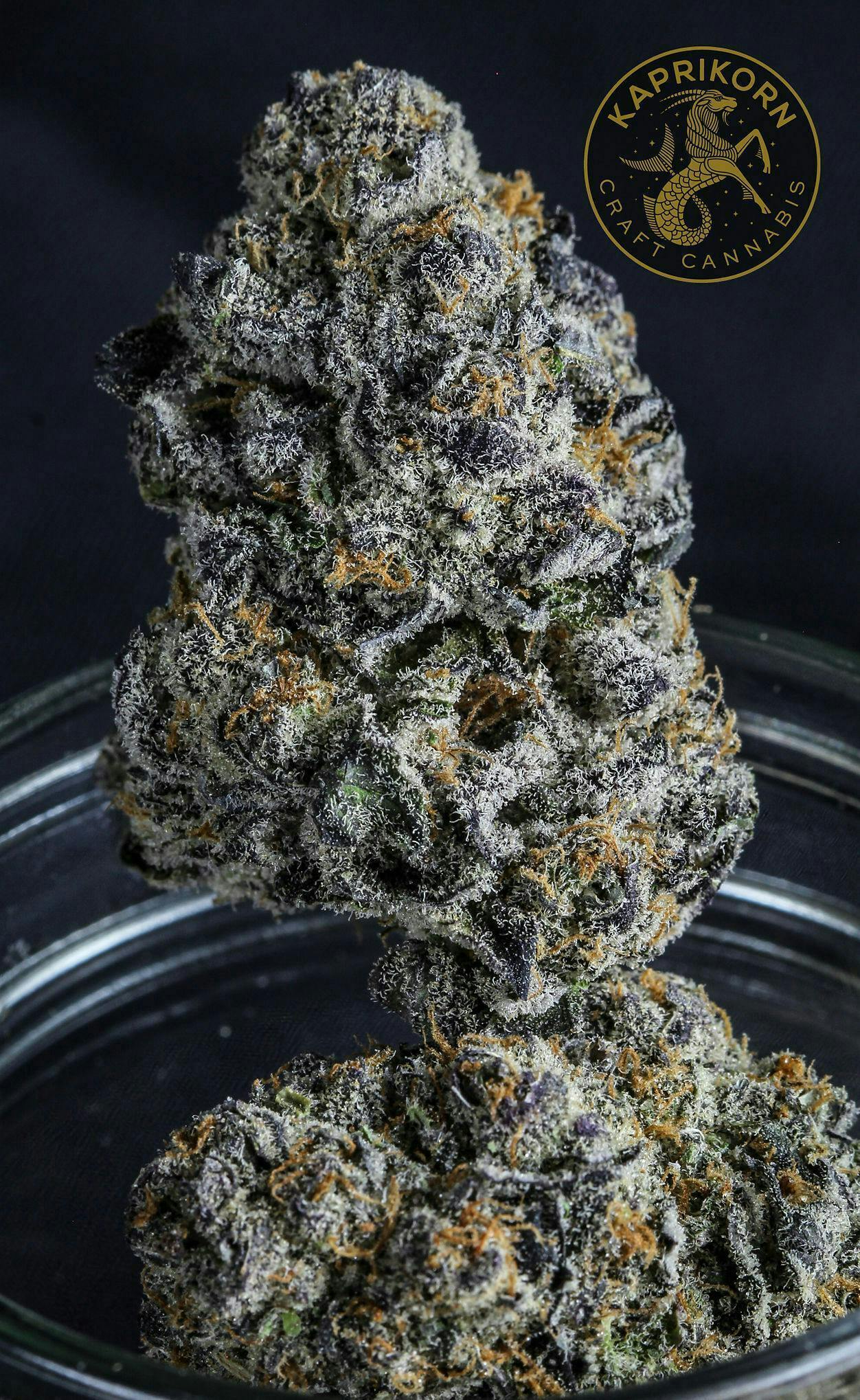 Kaprikorn | Mule Fuel | Big Buds | 7g by Kaprikorn