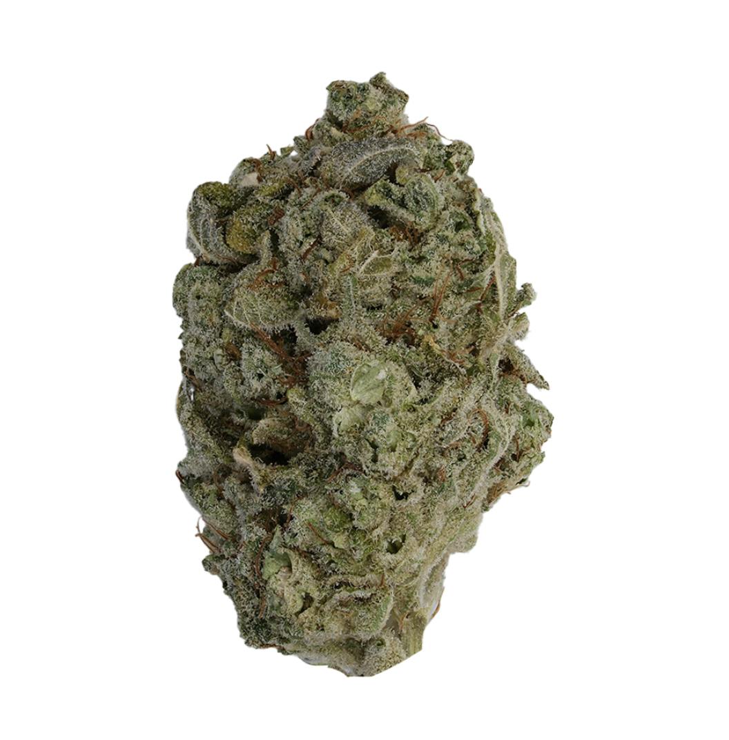 Stella's Farm | Sundae Driver x Zawts | Flower by Stella's Farm