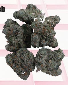 Midzotics | Gushers x Runtz | Big Buds | 28g by Midzotics