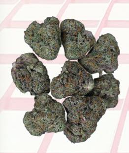 Midzotics | Dark Web | Big Buds | 28g by Midzotics