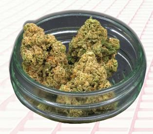 Midzotics | Orange Popsicle | Big Buds | 28g by Midzotics