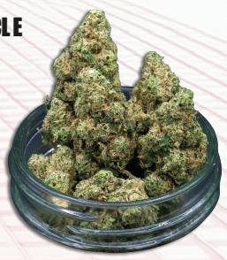 Midzotics | Purple Cake | Big Buds | 28g by Midzotics