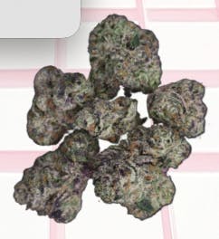 Midzotics | Candy Kush | Big Buds | 28g by Midzotics