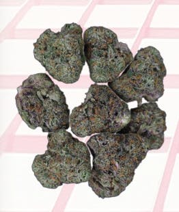 Midzotics — Dark Web