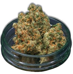 Midzotics | Jack Herer | Big Buds | 28g by Midzotics