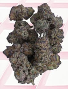 Midzotics | Chem Cherry | Big Buds | 7g by Midzotics