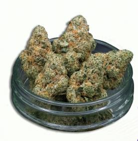 Midzotics | Divorce Cake | Big Buds | 28g by Midzotics