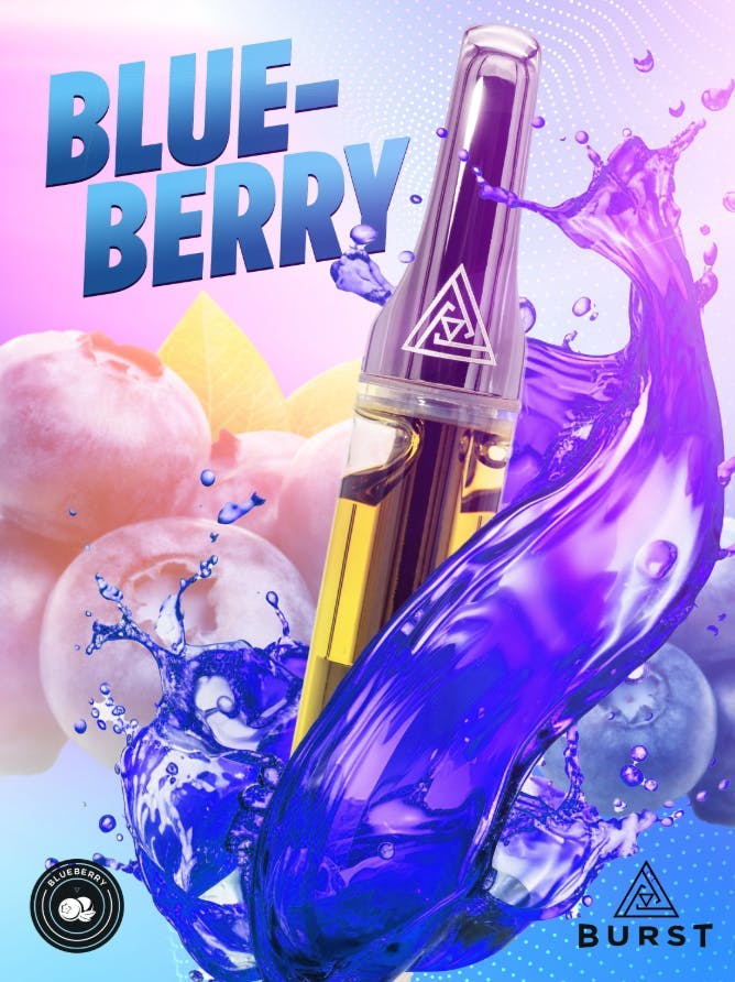 Pyramid | Blueberry | Burst Cartridge | 1g by Pyramid