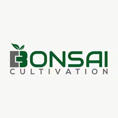 Bonsai Cultivation | Blue Raz | Flower