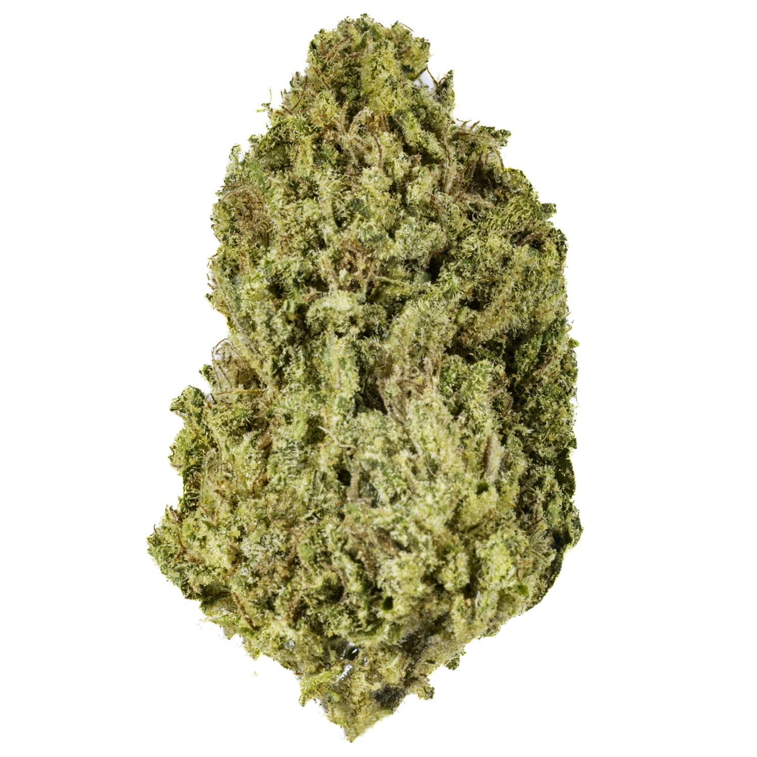 West Coast Cure — Honeydew