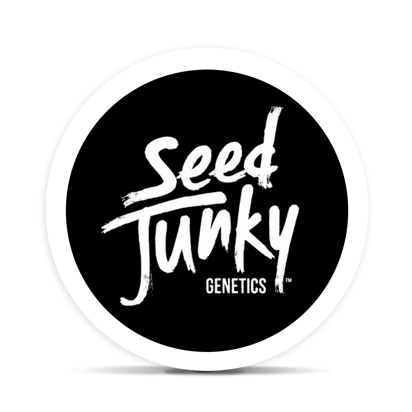 Thin Mints x Jealousy | Big Buds | 3.5g by Seed Junky