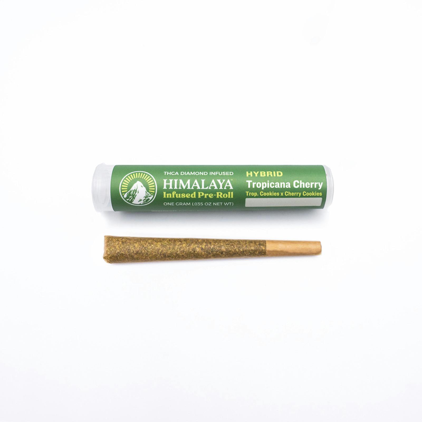 Himalaya — Tropicana Cherry