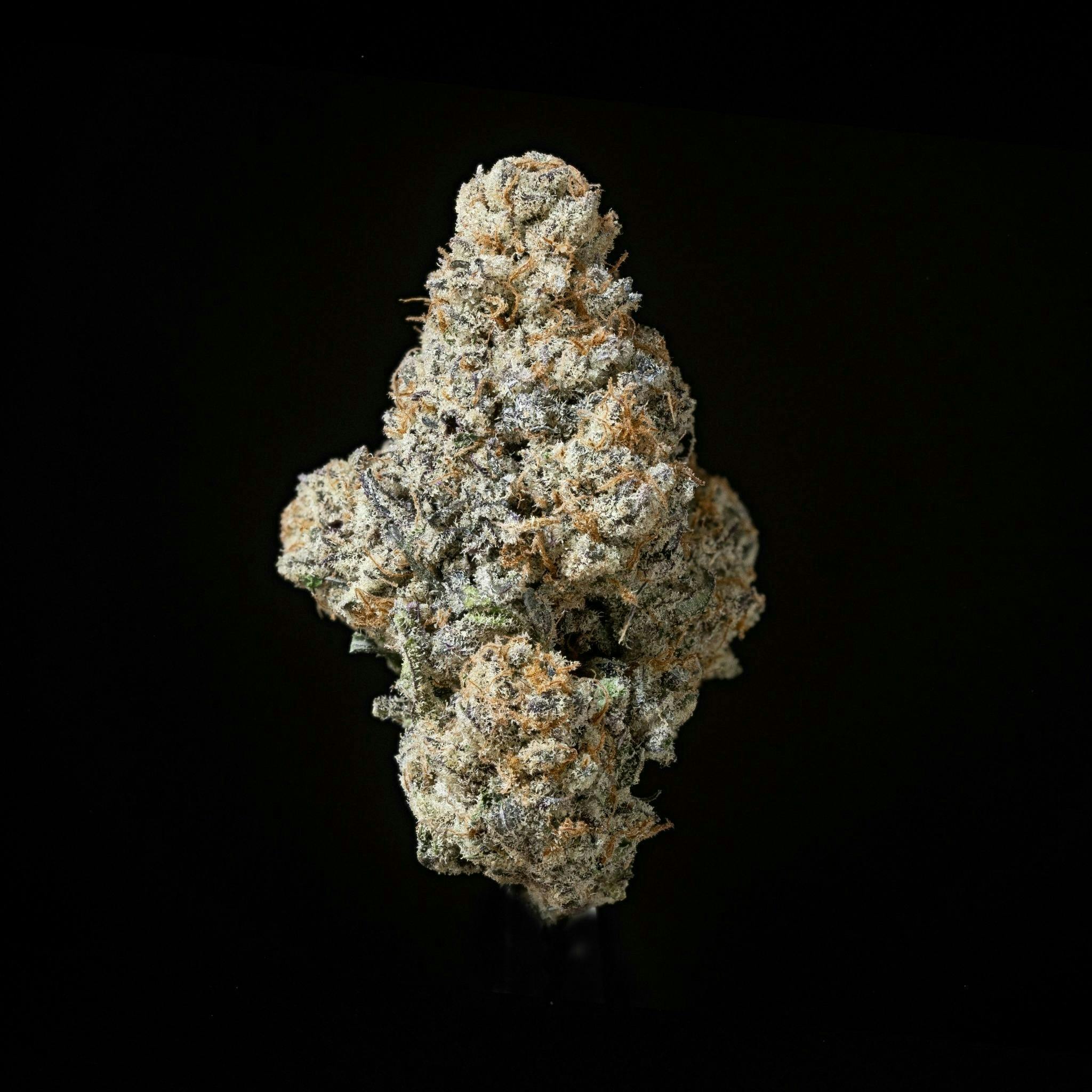 Sticky Status — Lava Cake