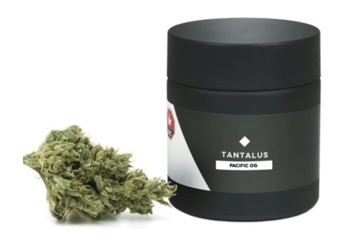 Tantalus | Pacific OG | Big Buds | 3.5g