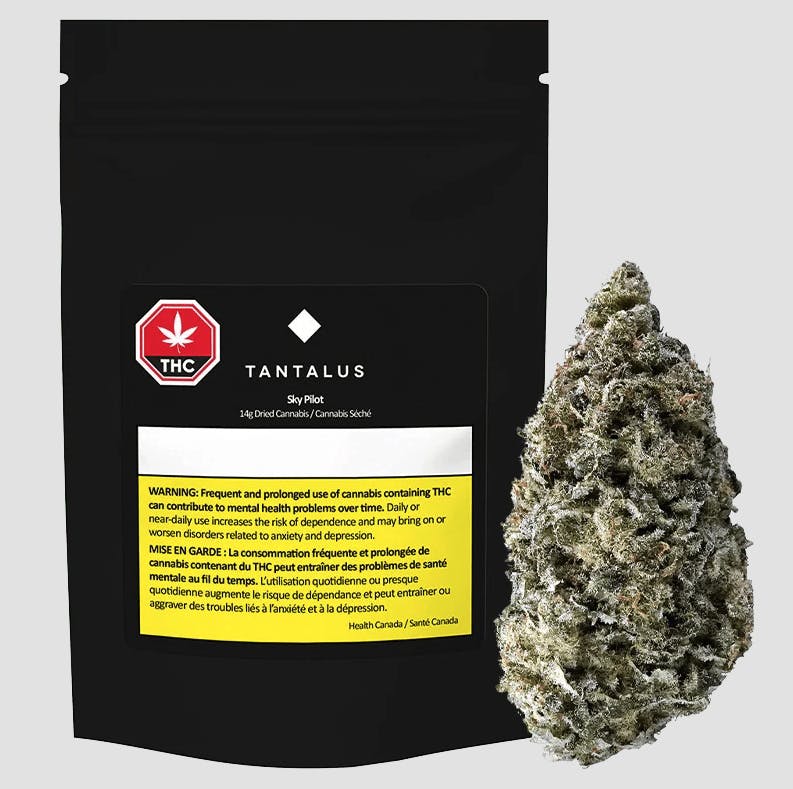 Tantalus | Sky Pilot | Big Buds | 14g