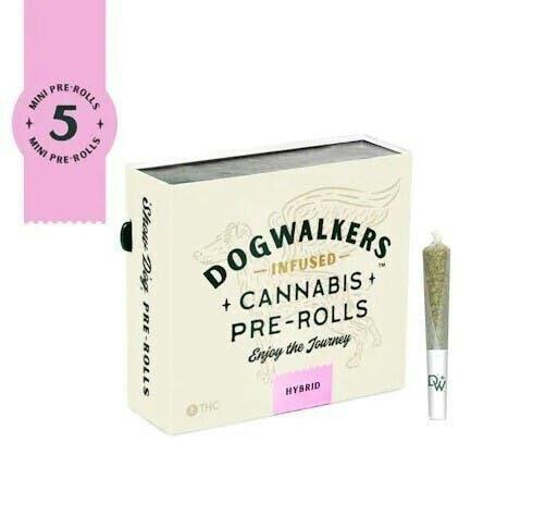 Dogwalkers Velcro Z 5 Pack Mini Show Dogs Infused Pre Rolls .45g by Dogwalkers