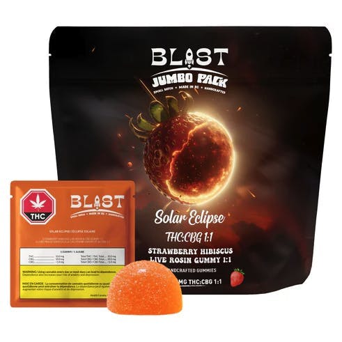 Jumbo Solar Eclipse Strawberry Hibiscus