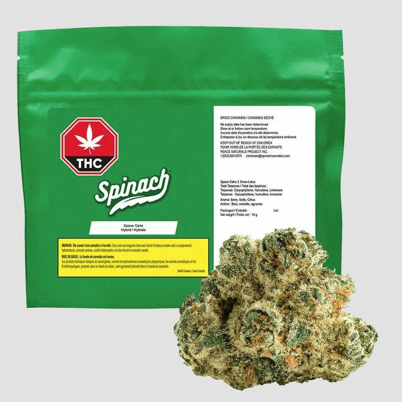 Spinach | Space Cake | Big Buds | 14g