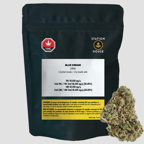 Station House | Blue Dream | Big Buds | 3.5g