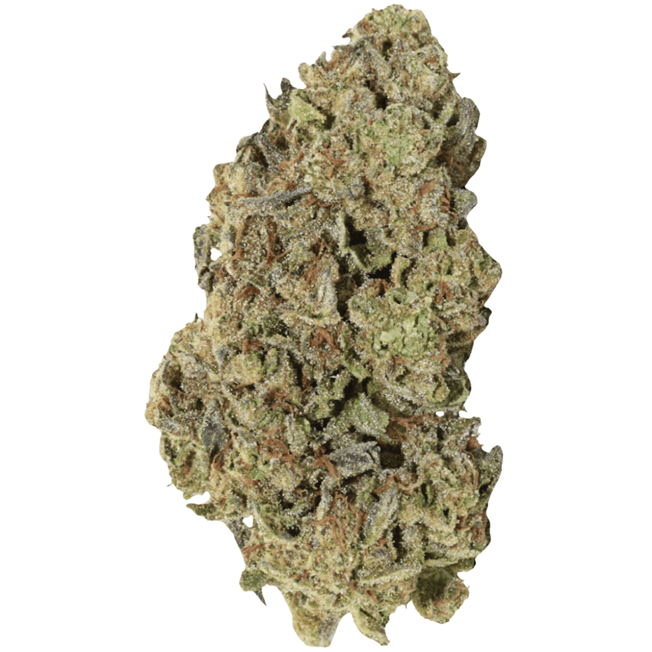 BowHouse | Canal Street Runtz | Flower | 3.5g by BowHouse
