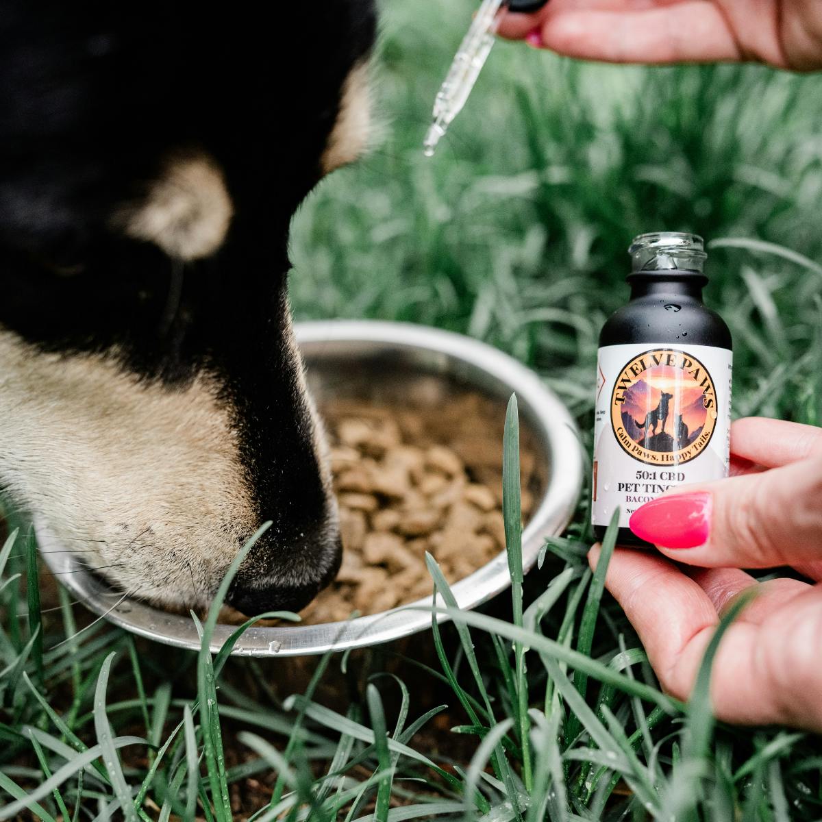 Bacon Flavor Tincture Pet Cbd